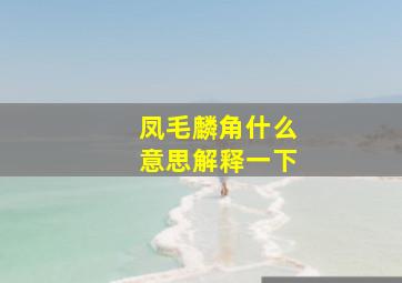 凤毛麟角什么意思解释一下