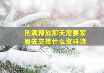 刑满释放那天需要家属去交接什么资料嘛