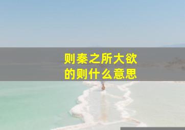 则秦之所大欲的则什么意思