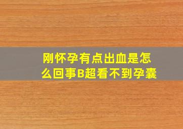 刚怀孕有点出血是怎么回事B超看不到孕囊