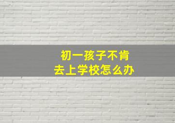 初一孩子不肯去上学校怎么办