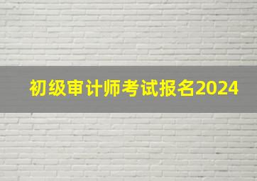 初级审计师考试报名2024