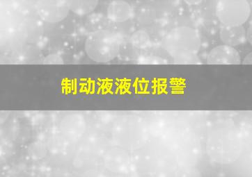 制动液液位报警