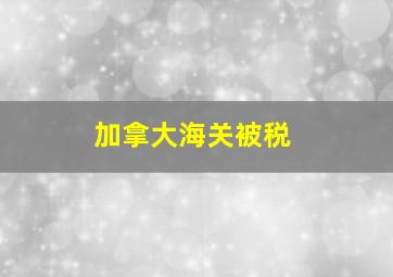 加拿大海关被税