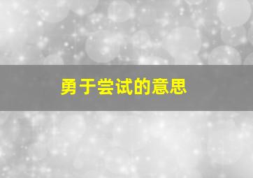 勇于尝试的意思