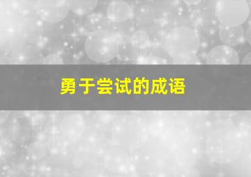 勇于尝试的成语