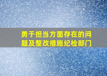 勇于担当方面存在的问题及整改措施纪检部门