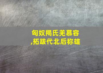 匈奴羯氏羌慕容,拓跋代北后称雄