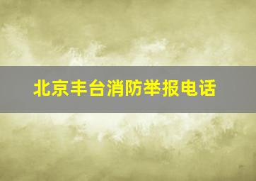 北京丰台消防举报电话