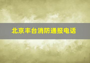 北京丰台消防通报电话