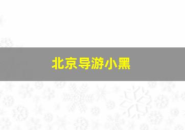 北京导游小黑