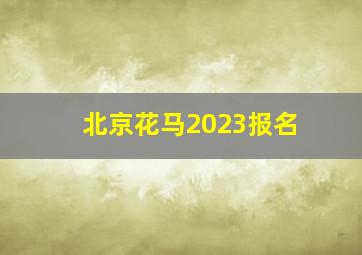 北京花马2023报名