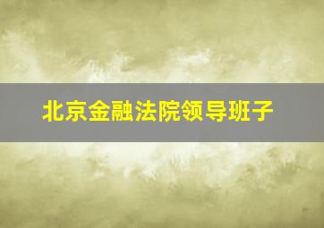 北京金融法院领导班子