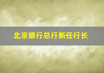 北京银行总行新任行长