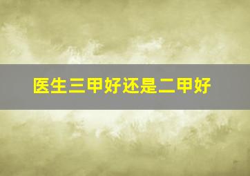 医生三甲好还是二甲好