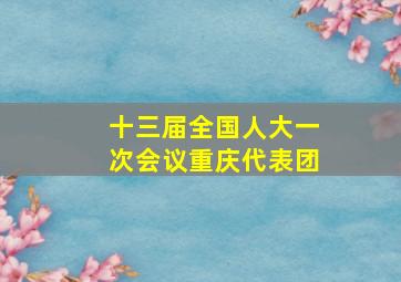 十三届全国人大一次会议重庆代表团