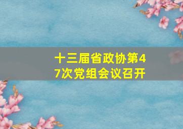 十三届省政协第47次党组会议召开