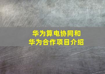 华为算电协同和华为合作项目介绍