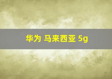 华为 马来西亚 5g