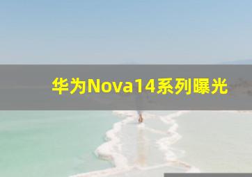 华为Nova14系列曝光