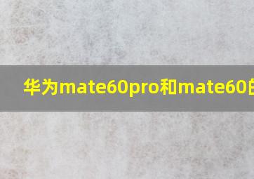 华为mate60pro和mate60的区别