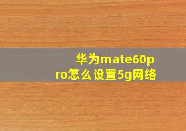 华为mate60pro怎么设置5g网络