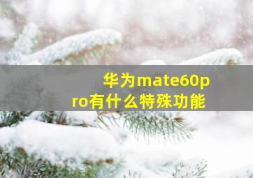 华为mate60pro有什么特殊功能