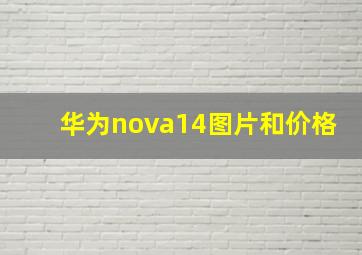 华为nova14图片和价格