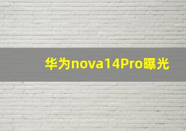 华为nova14Pro曝光