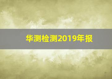 华测检测2019年报