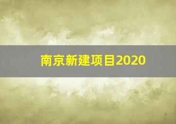 南京新建项目2020