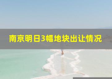 南京明日3幅地块出让情况