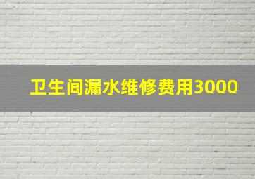 卫生间漏水维修费用3000