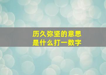 历久弥坚的意思是什么打一数字