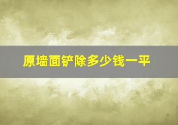 原墙面铲除多少钱一平