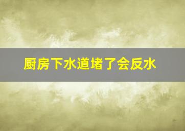 厨房下水道堵了会反水