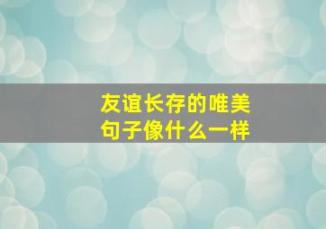 友谊长存的唯美句子像什么一样