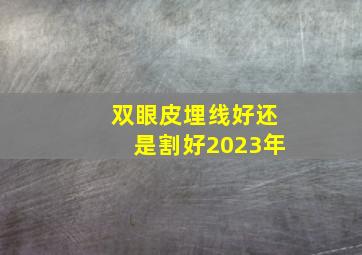 双眼皮埋线好还是割好2023年