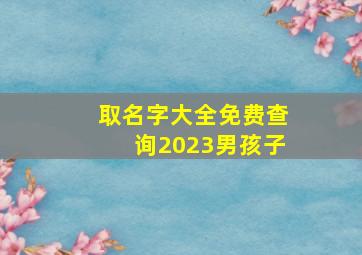 取名字大全免费查询2023男孩子