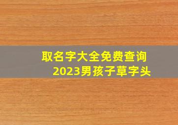 取名字大全免费查询2023男孩子草字头