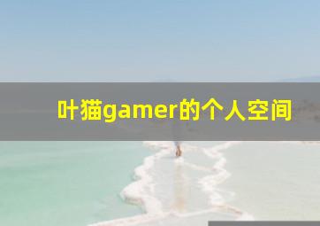 叶猫gamer的个人空间