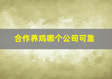 合作养鸡哪个公司可靠