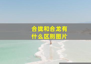 合拢和合龙有什么区别图片