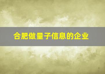 合肥做量子信息的企业