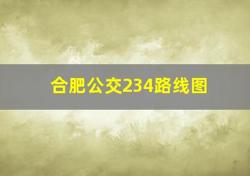 合肥公交234路线图