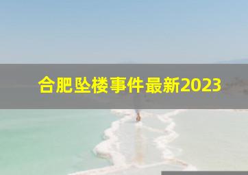 合肥坠楼事件最新2023