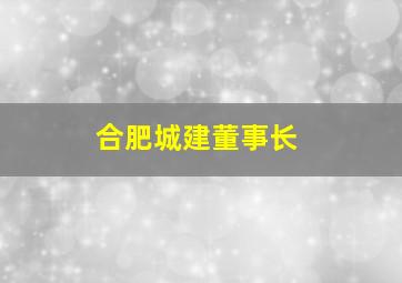 合肥城建董事长