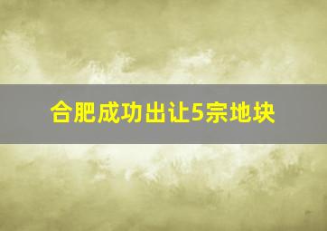 合肥成功出让5宗地块