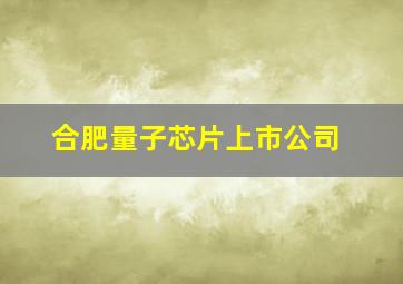 合肥量子芯片上市公司