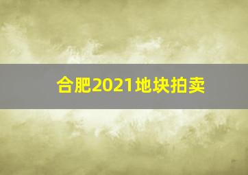 合肥2021地块拍卖